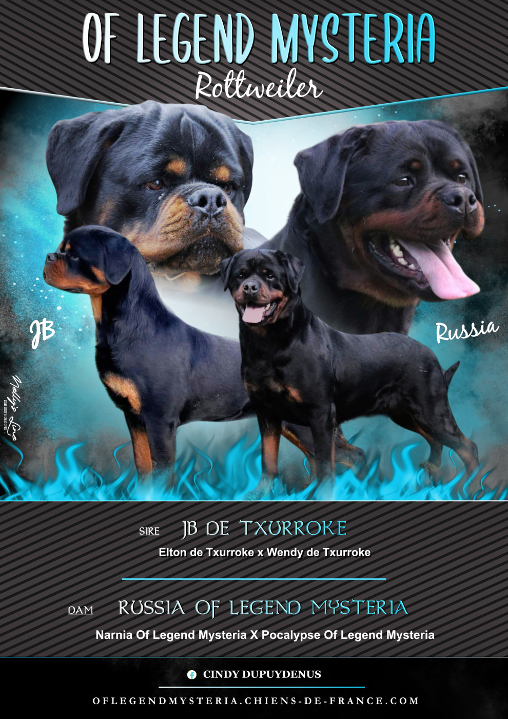 Chiot Rottweiler Of Legend Mysteria