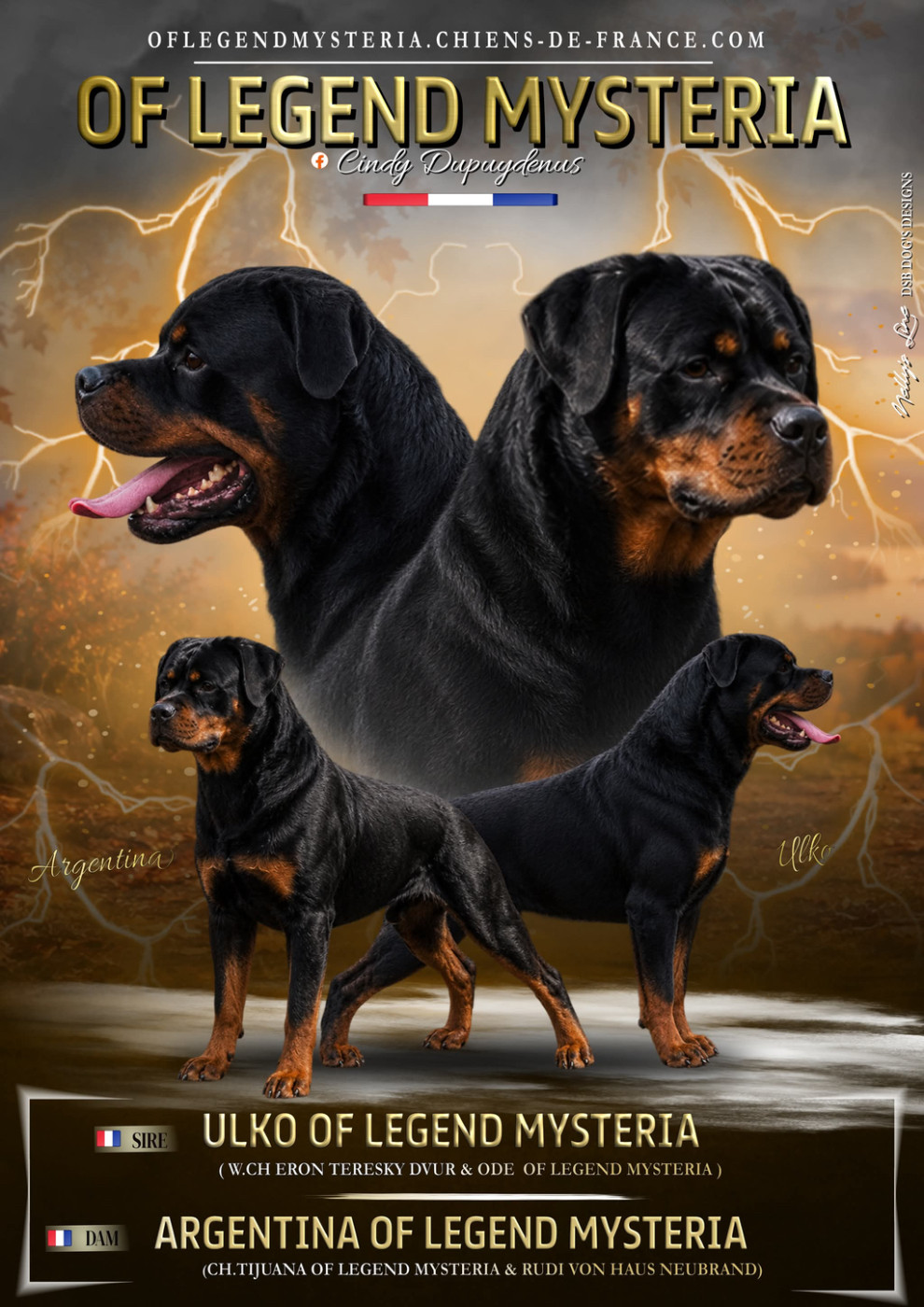 Of Legend Mysteria - Rottweiler - Portée née le 21/09/2026